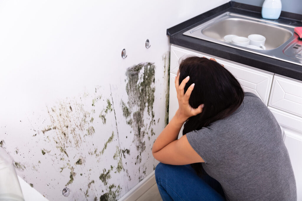 Woman Looking At Mold On Wall › 스타일리쉬 플레이스 부엌 벽에 곰팡이가 자생해 있는 모습과 그 앞에 무릎을 꿇고 고통스러워하는 여성. 곰팡이로 인한 스트레스와 건강 문제를 암시하는 이미지.
