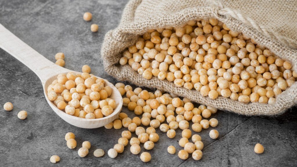high angle chickpeas beans concept › 스타일리쉬 플레이스 자연스러운 갈색 종이 주머니에서 흘러나온 병아리콩과 나무 숟가락에 담긴 병아리콩의 모습. 채식주의자의 단백질 섭취를 강조하는 이미지.