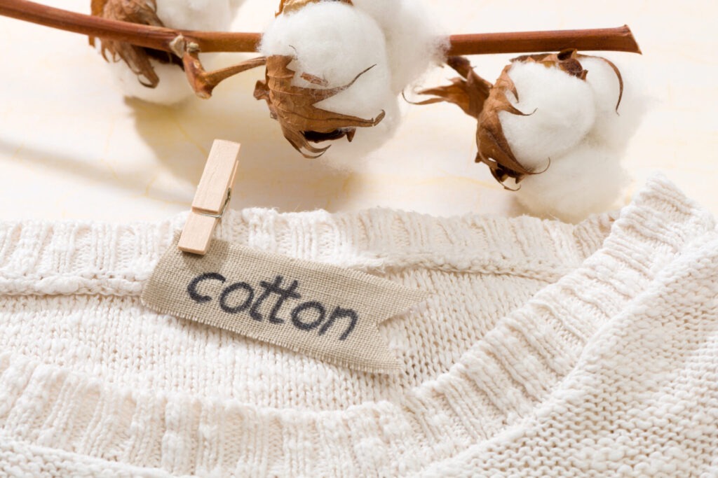 Sweater made of natural fabrics and branch with cotton blossoms › 스타일리쉬 플레이스 천연 면 소재의 니트와 면화 꽃이 함께 놓인 모습