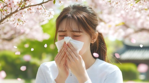 간절기, 벚꽃 아래에서 휴지를 들고 재채기하는 여성