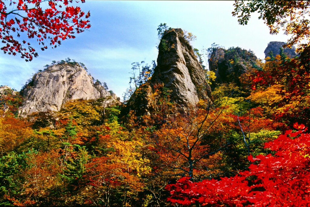 설악산의 가을 – 자연이 빚어낸 단풍의 향연 › 스타일리쉬 플레이스 가을빛으로 물든 설악산의 기암절벽과 단풍