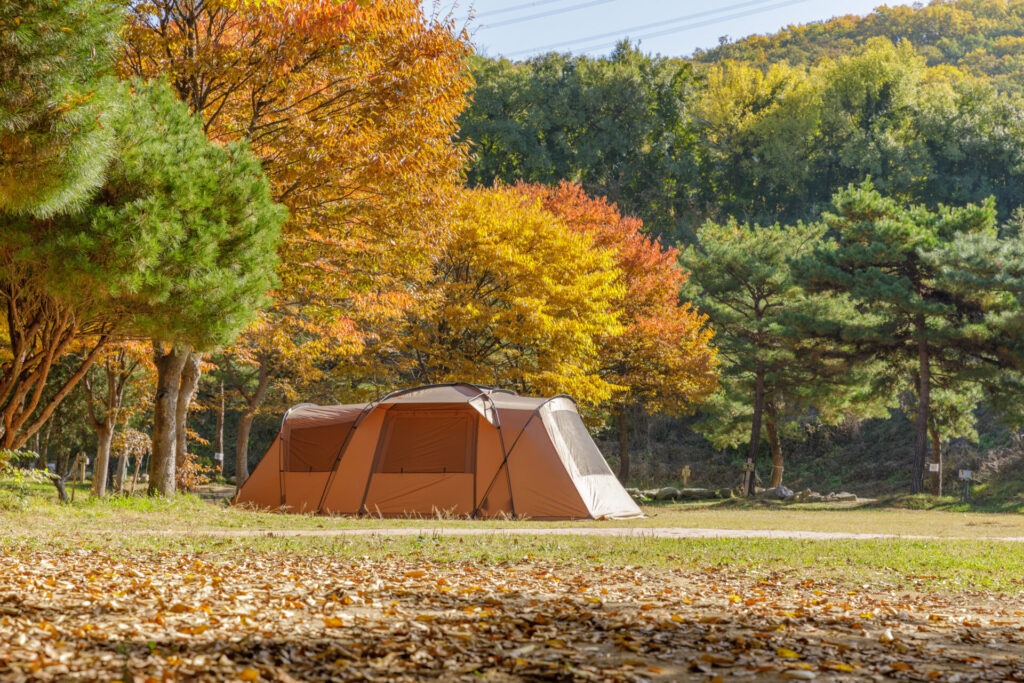가을 낙엽이 쌓인 캠핑장에 설치된 텐트, 감성 캠핑을 위한 주방템 아이디어